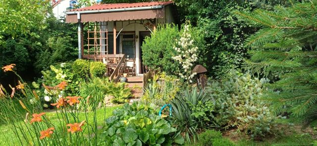 Działka rod Włocławek, ul. Kapitulna. Zdjęcie 1