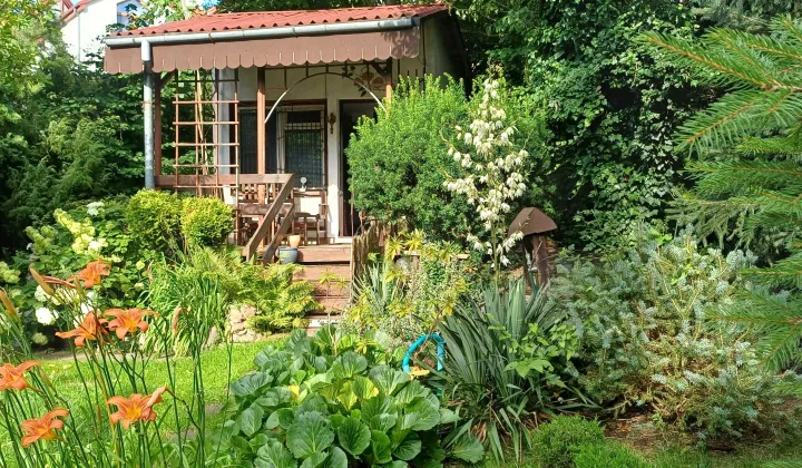 Działka rod Włocławek, ul. Kapitulna