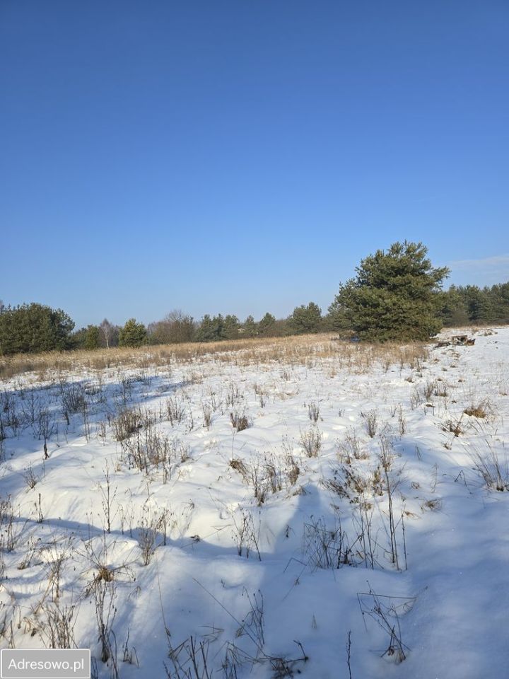 Działka budowlana Chechło, ul. Ogrodzieniecka. Zdjęcie 4