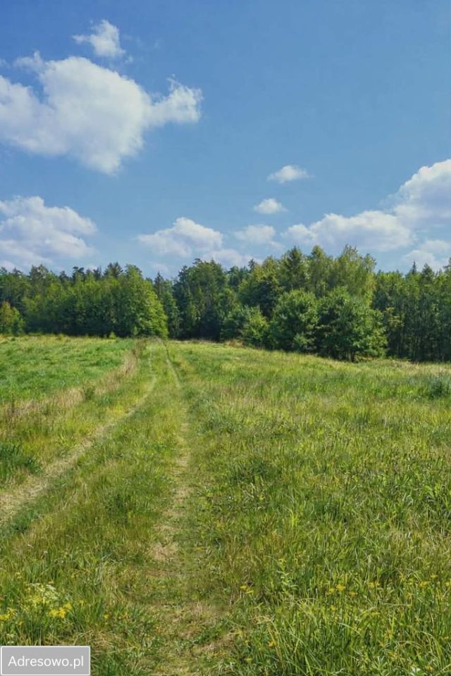 Działka budowlana Gawiniańce. Zdjęcie 2