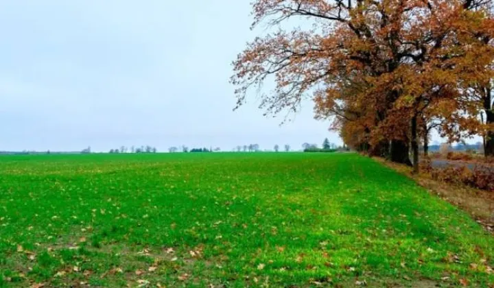 Działka budowlana Mały Buczek