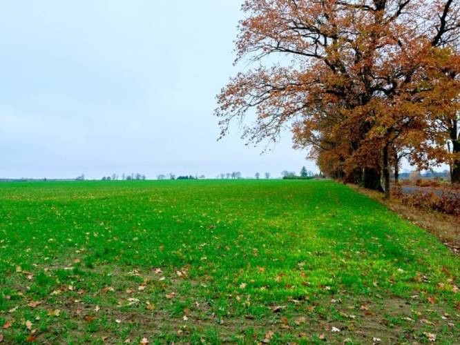 Działka budowlana Mały Buczek. Zdjęcie 1