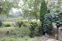 gospodarstwo Kępa Karolińska. Zdjęcie 3