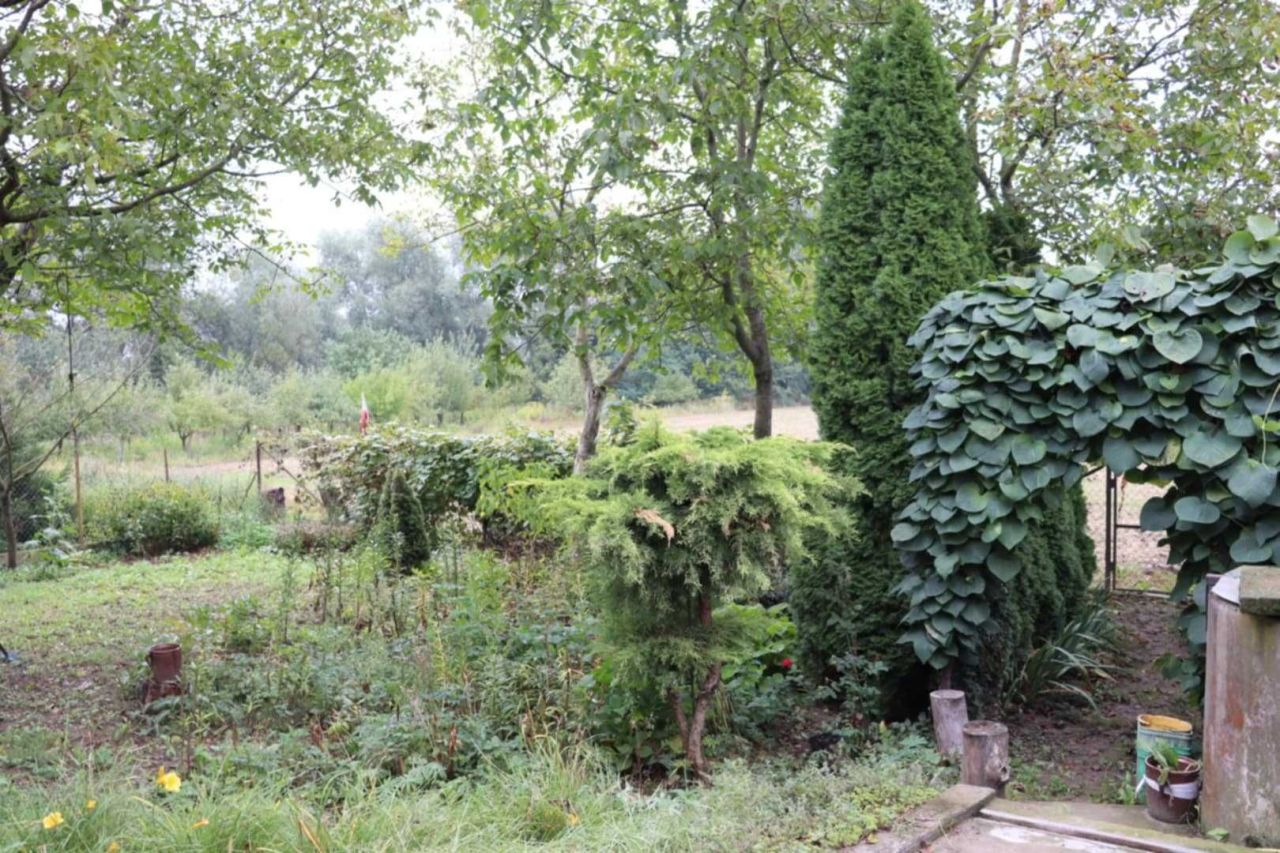 gospodarstwo Kępa Karolińska. Zdjęcie 4