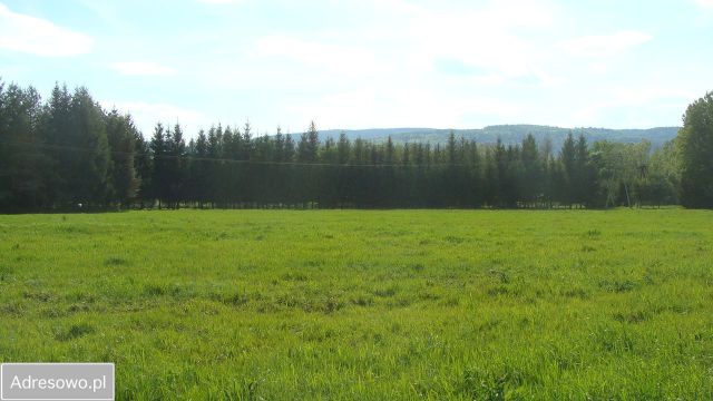 Działka rolna Domaszków, ul. Kolejowa. Zdjęcie 1