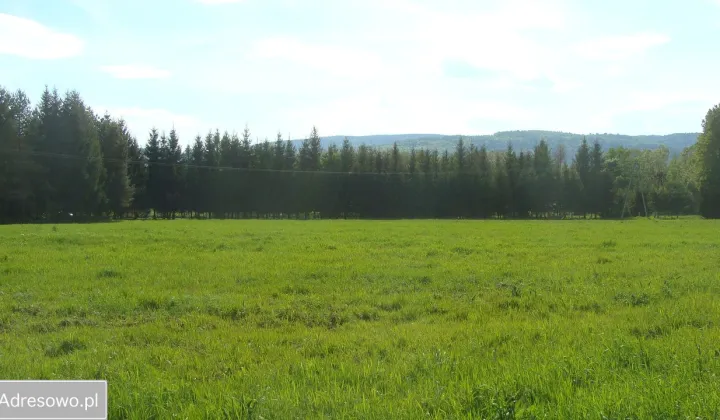 Działka rolna Domaszków, ul. Kolejowa