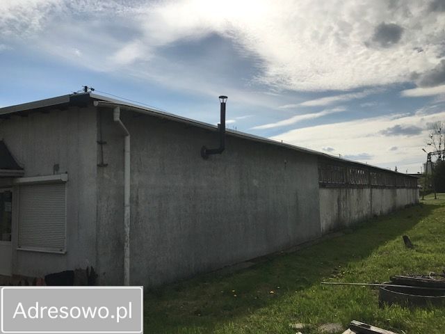Hala/magazyn Lidzbark Warmiński, ul. Olsztyńska. Zdjęcie 2