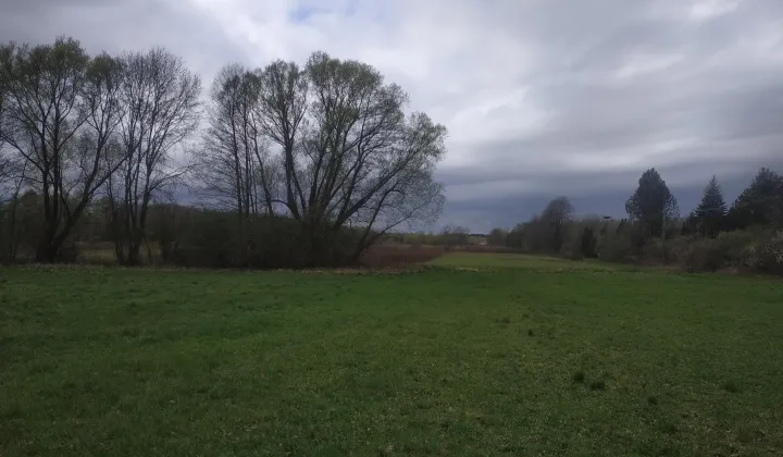 Działka rolno-budowlana Zadębie