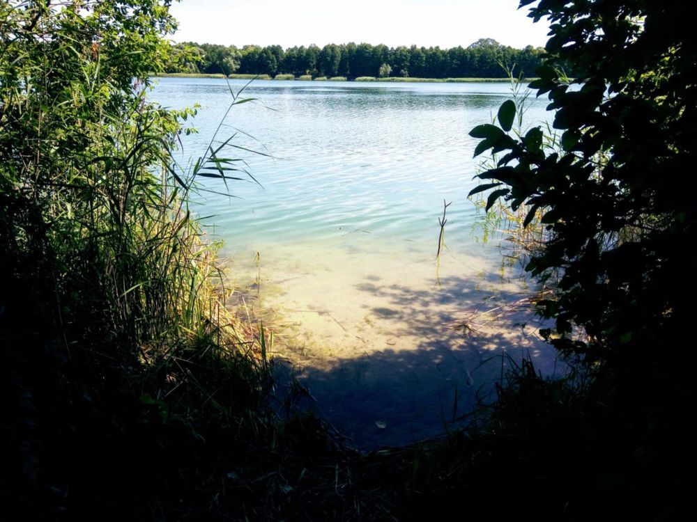 Działka Wiewiórczyn. Zdjęcie 5