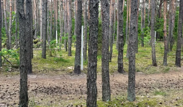 Działka leśna Warszawa Miedzeszyn, ul. Bonisławska