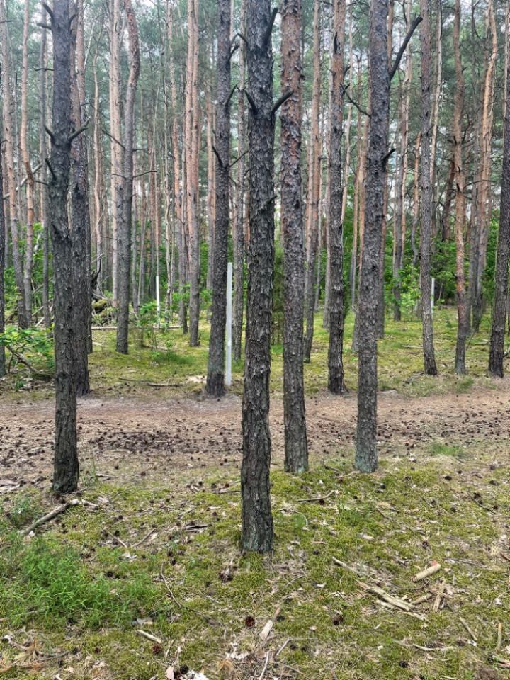 Działka leśna Warszawa Miedzeszyn, ul. Bonisławska