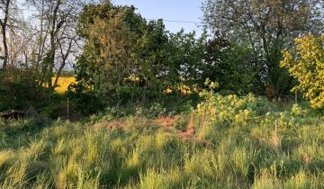 Działka rolno-budowlana Zajączkowice