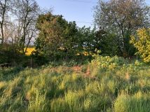 Działka rolno-budowlana Zajączkowice. Zdjęcie 1