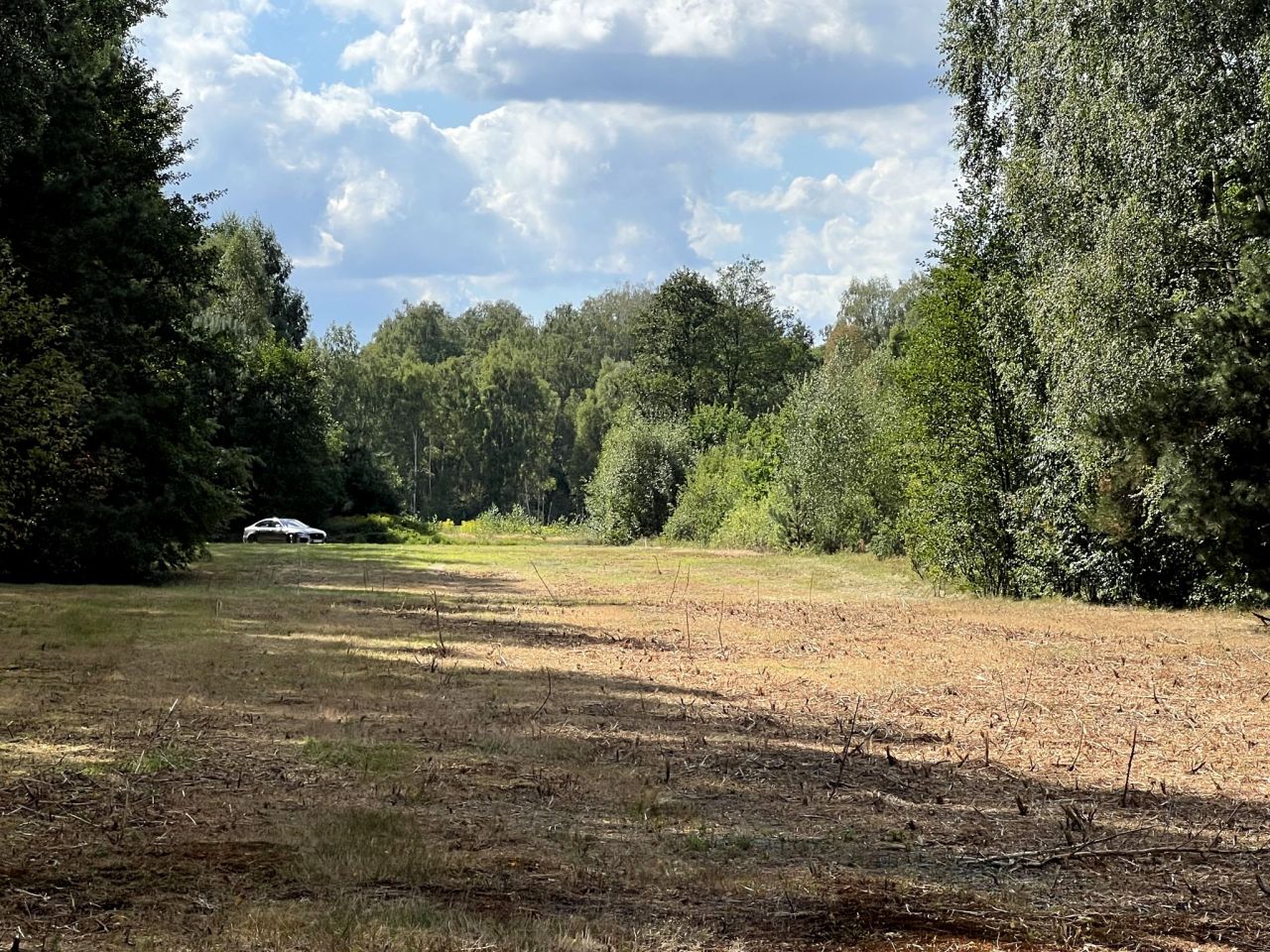 Działka rekreacyjna Mirowice, ul. Sarenki. Zdjęcie 11