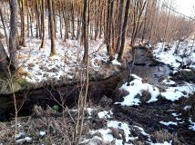 Działka budowlana Dretyń. Zdjęcie 2