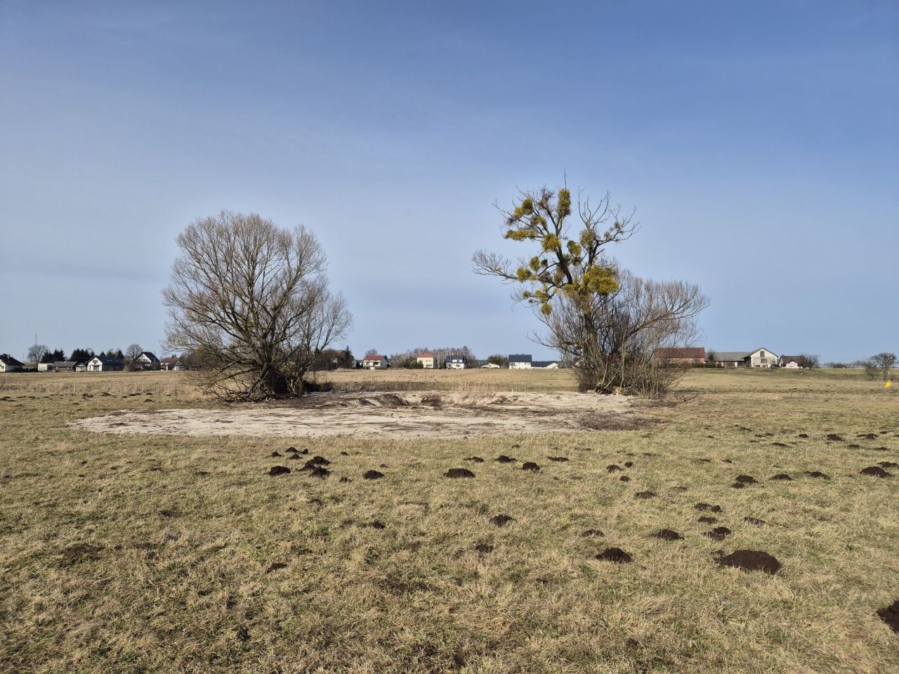 Działka rolna Życzyn. Zdjęcie 7