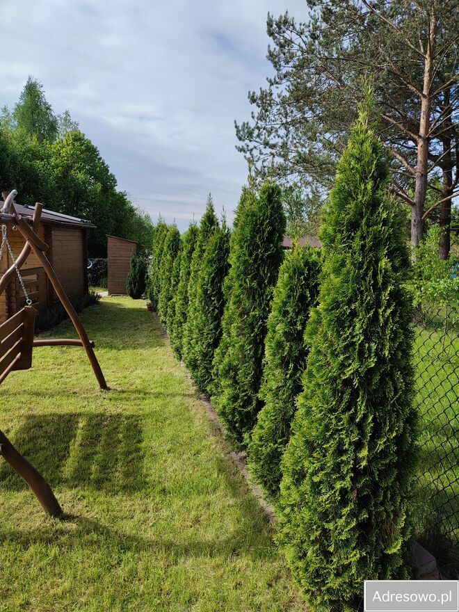 Działka rod Kielce Posłowice, ul. Leśniówka. Zdjęcie 7