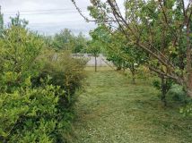 Działka rod Mszczonów, ul. Księcia Józefa Poniatowskiego. Zdjęcie 4