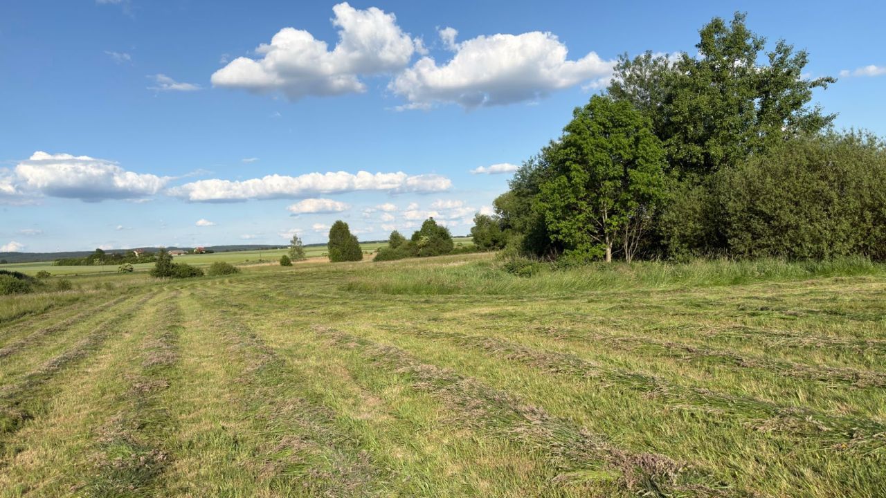 Działka rolno-budowlana Lasochów. Zdjęcie 6