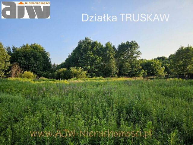 Działka budowlana Truskaw, ul. Południowa. Zdjęcie 1