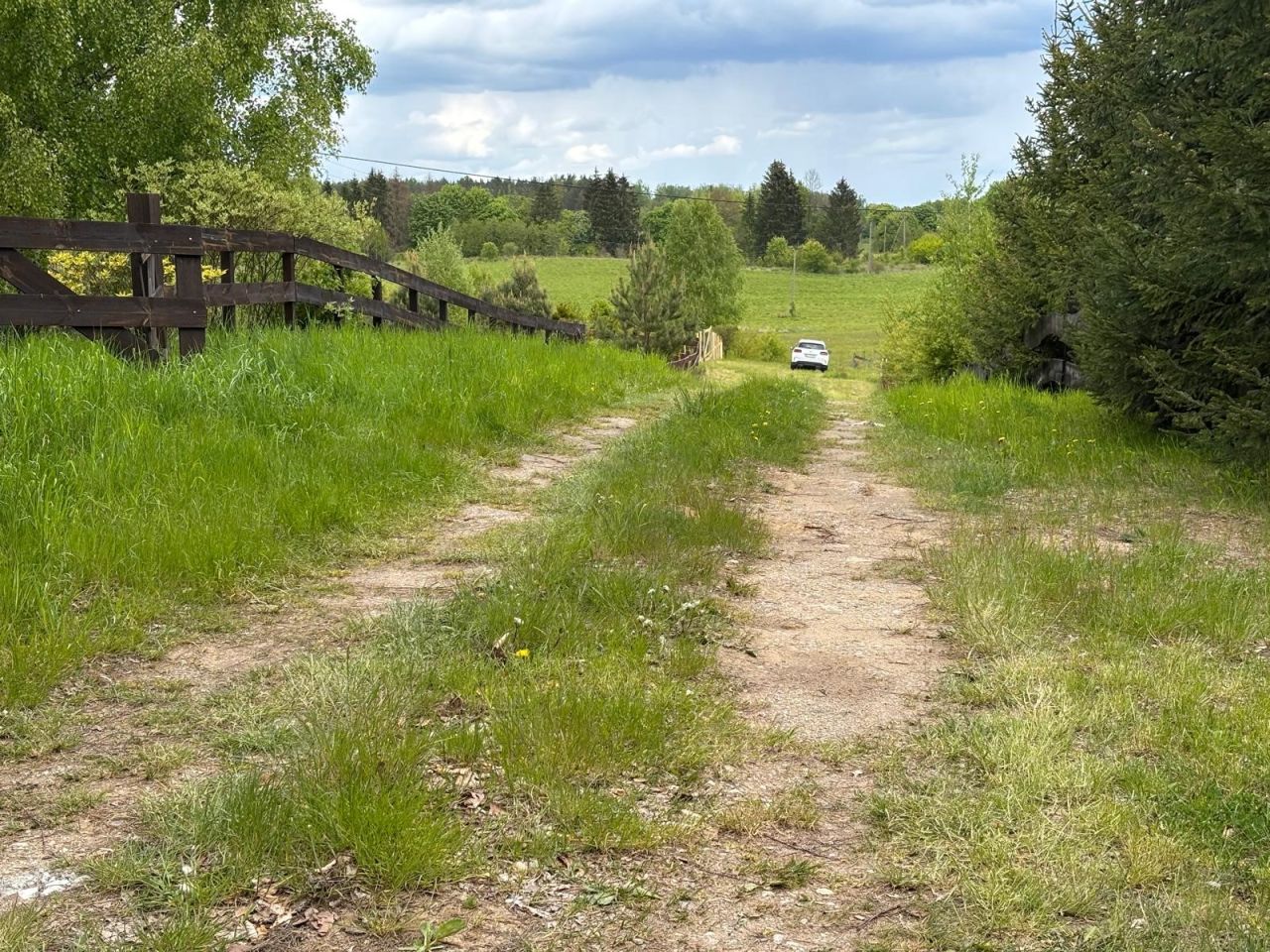 Działka rekreacyjna Stary Gieląd. Zdjęcie 9
