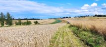 Działka rolno-budowlana Poręba Dzierżna, Poręba Dzierżna. Zdjęcie 2