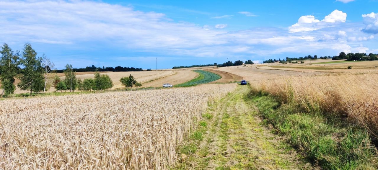 Działka rolno-budowlana Poręba Dzierżna, Poręba Dzierżna. Zdjęcie 3