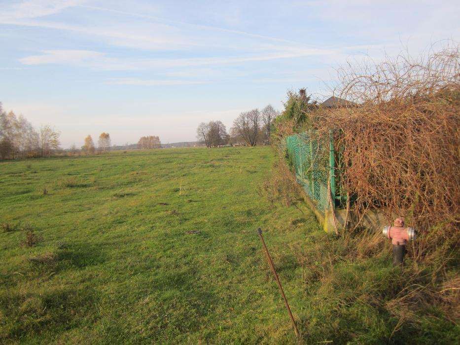 Działka budowlana Węgrów, ul. Sosnowa. Zdjęcie 3