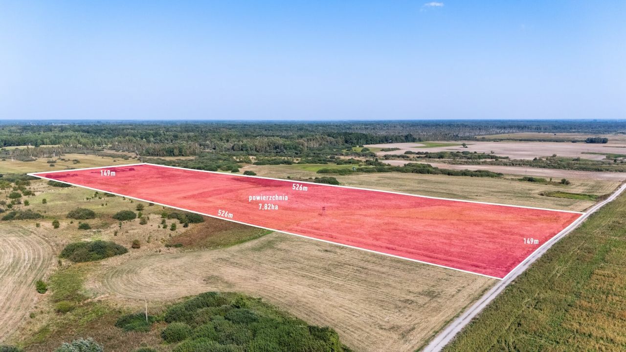 Działka rolna Brzeźno, Brzeźno. Zdjęcie 1