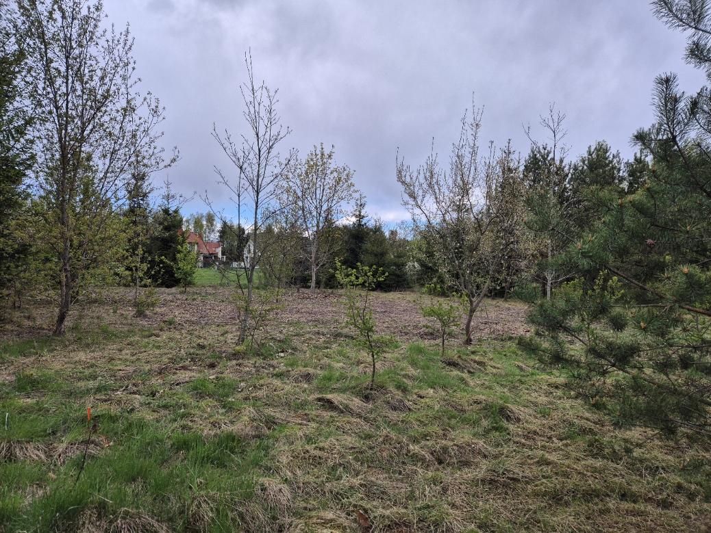 Działka rolna Stanisławowo, ul. Słonecznikowa. Zdjęcie 4