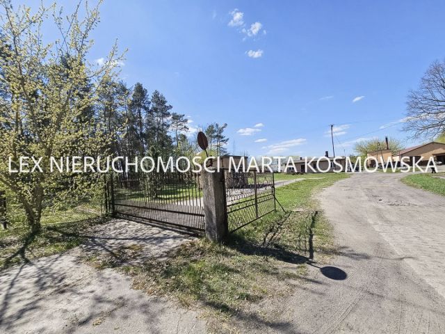 Lokal Nowa Wrona. Zdjęcie 10