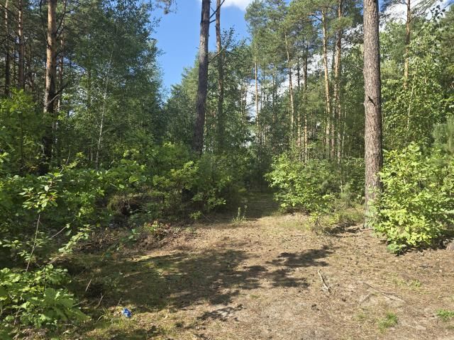 Działka leśna Wołomin Mironowe Górki, ul. Lipowa. Zdjęcie 5