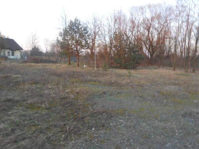 Działka budowlana Chrzęsne. Zdjęcie 1