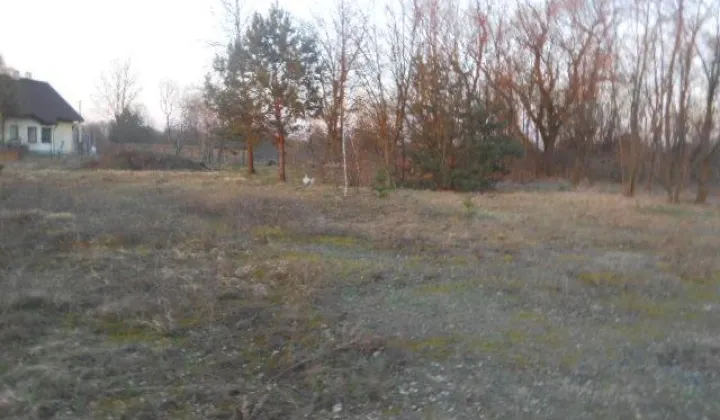 Działka budowlana Chrzęsne