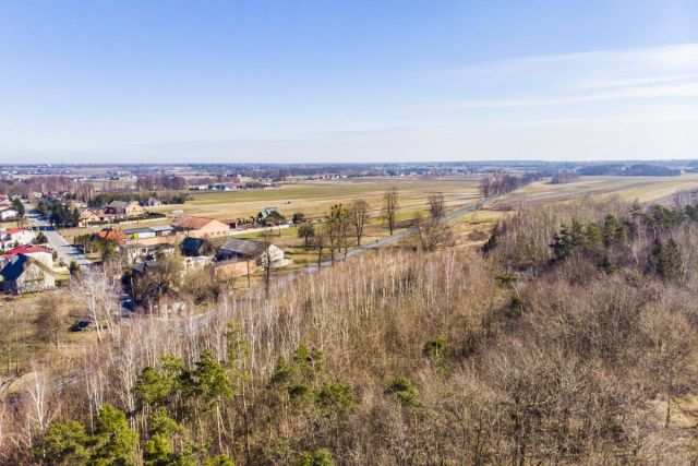 Działka inwestycyjna Huta Wiskicka. Zdjęcie 11