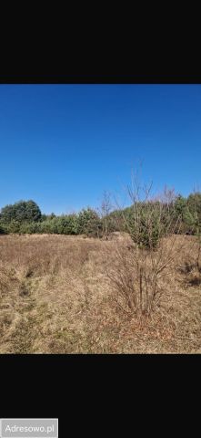 Działka budowlana Sieraków. Zdjęcie 1