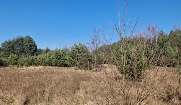 Działka budowlana Sieraków