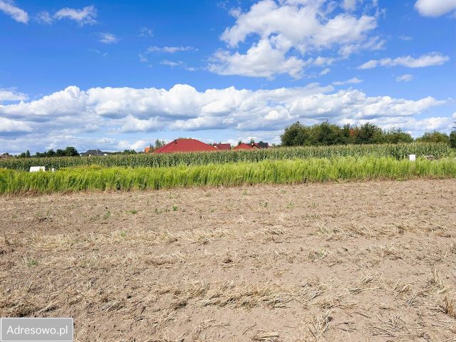 Działka budowlana Nieciszów. Zdjęcie 1
