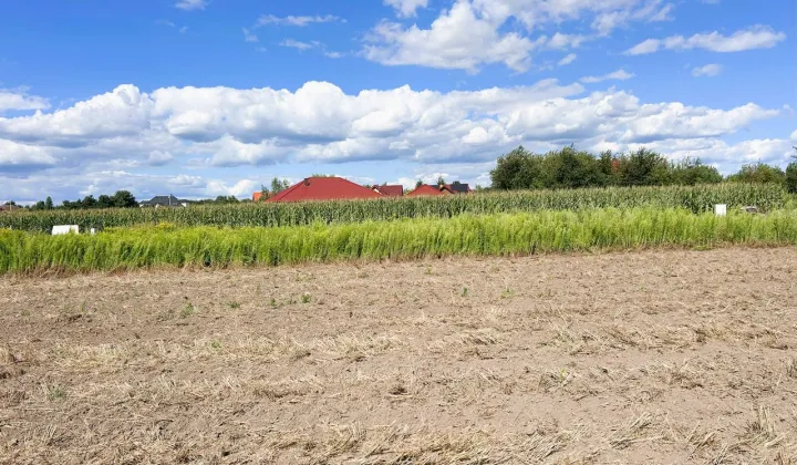 Działka budowlana Nieciszów