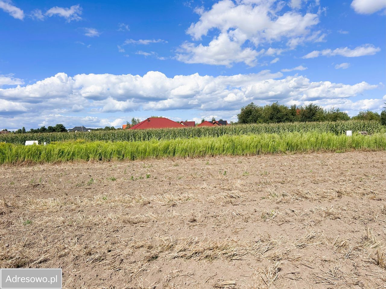 Działka budowlana Nieciszów