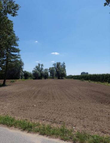 Działka inna Wilga, ul. Adama Mickiewicza. Zdjęcie 2