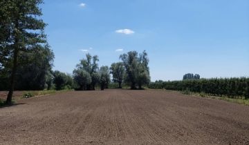 Działka inna Wilga, ul. Adama Mickiewicza