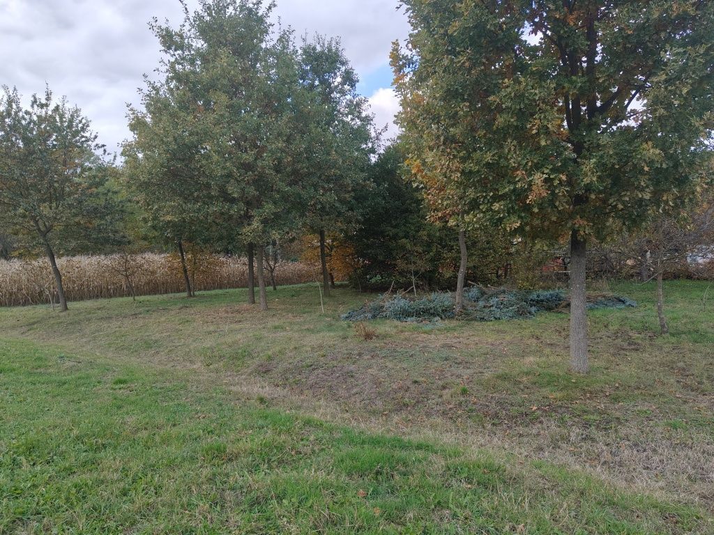 Działka budowlana Babicha