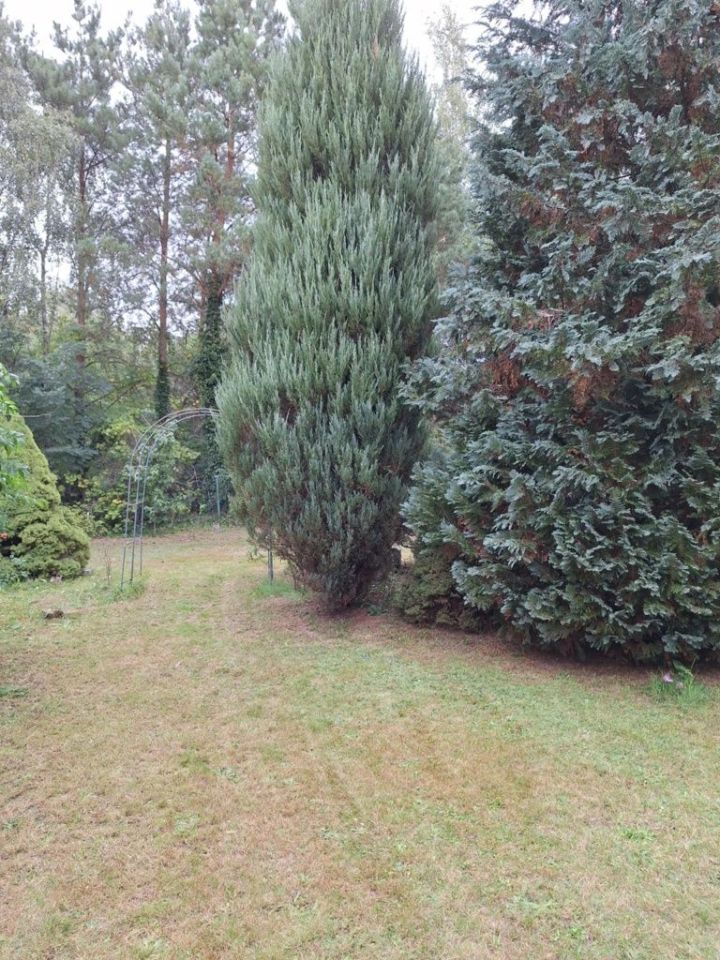 Działka rod Siedlątków. Zdjęcie 5