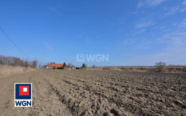 Działka rolna Nowakowo. Zdjęcie 8
