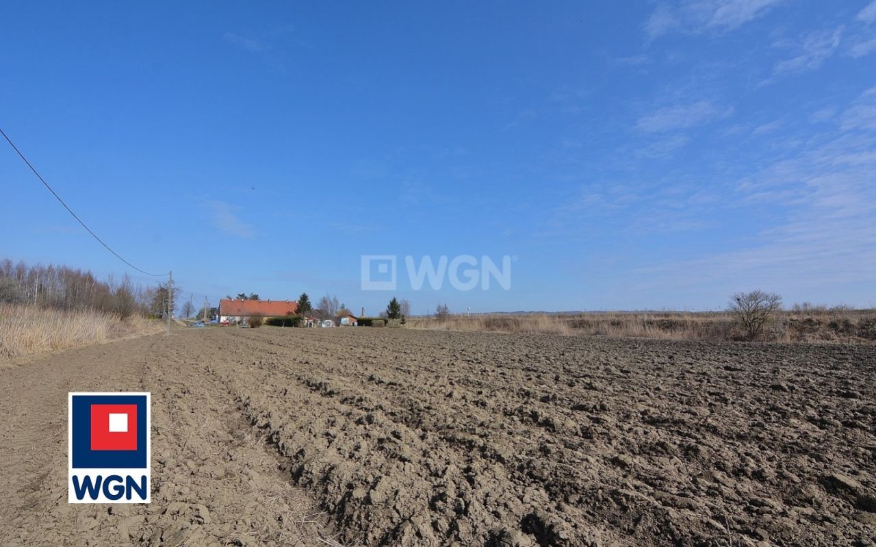 Działka rolna Nowakowo. Zdjęcie 8