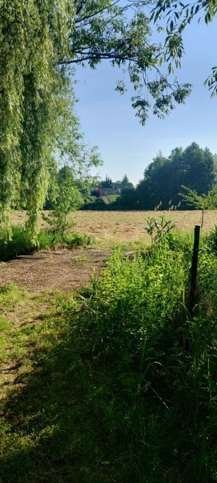 Działka rolna Strzeszkowice Duże. Zdjęcie 3