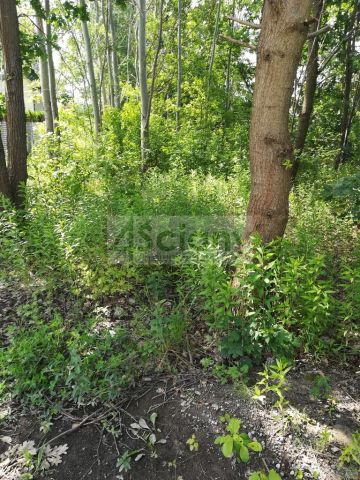 Działka rolna Chotomów. Zdjęcie 4