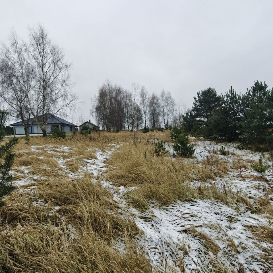 Działka rolno-budowlana Karsk. Zdjęcie 5