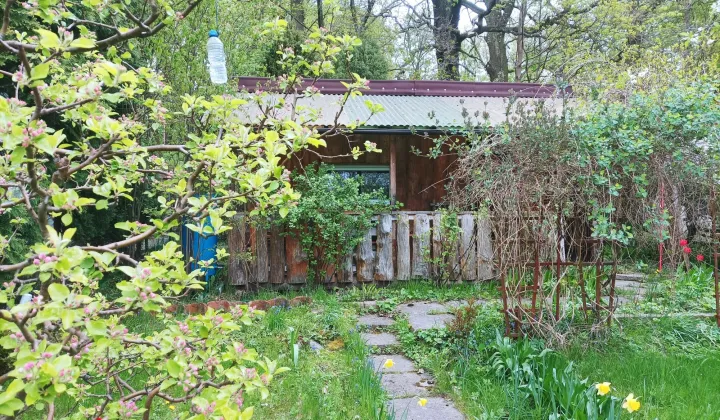 Działka rod Olsztyn